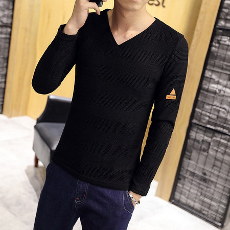 雷斯英杰/LEISIYINGJIE 春季男士长袖T恤 厚网布V领韩版修身青少年时尚T恤衫图片