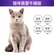 卫仕 NOURSE咿牛猫用复合牛磺酸咀嚼片  猫咪营养保健品保护视力强健心肌