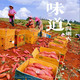 农家自产 红薯云南建水高原蜜薯西瓜红5斤9斤