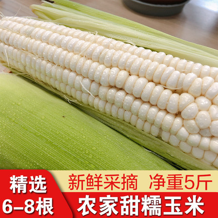 【隰县】农家新鲜甜糯玉米棒现摘现发5斤装包邮
