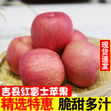 【山西临汾】山西吉县红富士苹果脆甜多汁 8斤15枚礼盒装