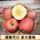 【 山西临汾】山西翼城红富士苹果 脆甜多汁 10斤装