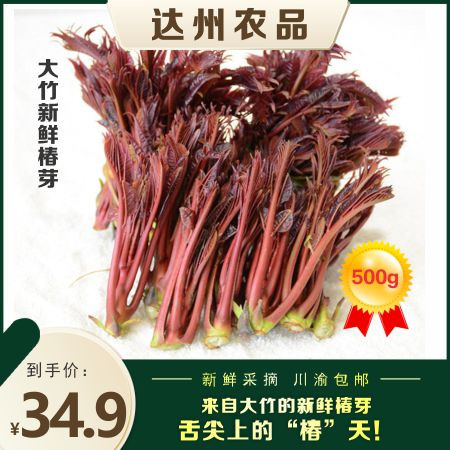 【大竹特产】舌尖上的“椿”天  500g 新鲜椿芽 泡沫箱+冰袋包装 48小时发货 周末顺延图片