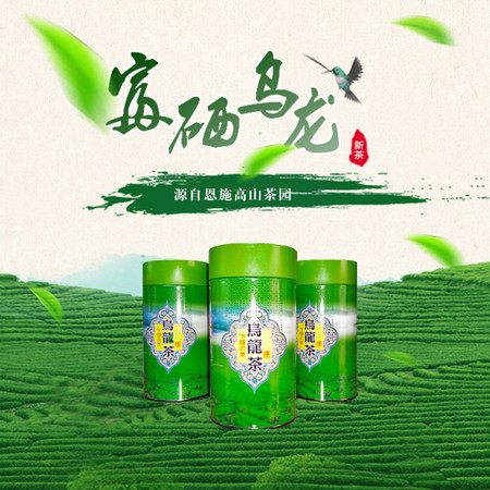 早雾青 乌龙茶 炜丰有机茶 富硒茶 家庭装150g图片