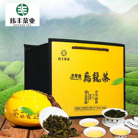 早雾青 乌龙茶单罐礼盒装250g图片