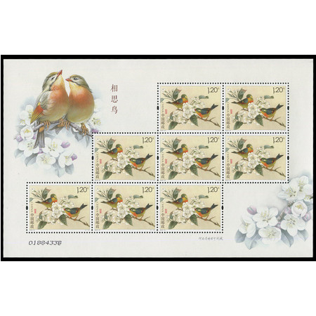 中国邮政 2016-21 相思鸟小版张邮票 相思鸟小版