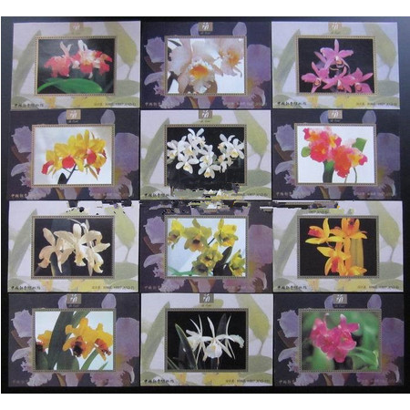 藏邮鲜 G013中国邮票博物馆发行名贵兰花品种珍藏纪念张12全图片