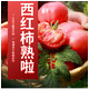 阿坝理县薛城番茄（西红柿） 生鲜蔬果  2斤装