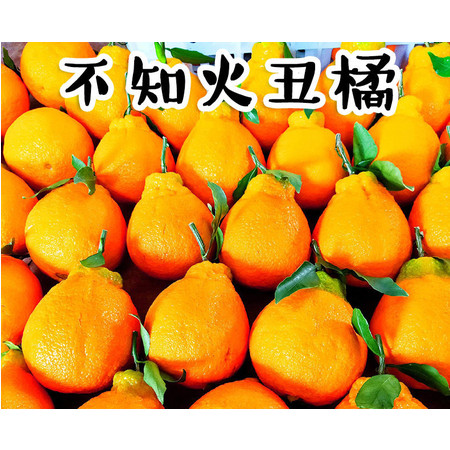 丑橘新鲜丑八怪橘子当季水果包邮桔子蜜橘桔柑橘带箱10斤