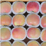 藏邮鲜 高原阳光果红富士苹果水果新鲜整箱18枚脆甜非冰糖心丑平果
