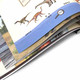 儿童探索世界丛书全套8册 未解之谜大全集正版科普书籍 小学生四五六年级十万个为什么科学课外书 动物植