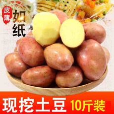 滇川藏小土豆新鲜10斤马铃薯农产品蔬菜红皮洋芋批发迷你小黄心土豆