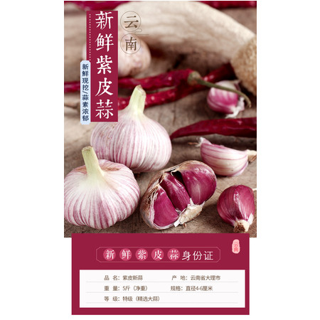 云南紫皮红蒜新鲜农蔬菜干大蒜头糖醋鲜蒜头现挖5斤叶菜类湿蒜