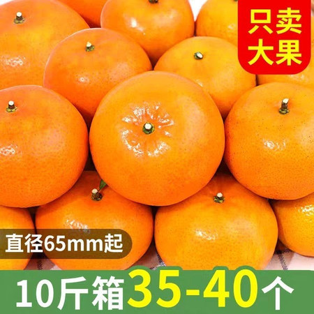武鸣沃柑新鲜水果当季整箱10斤蜜桔橘子沙糖桔皇帝贡柑砂糖橘图片