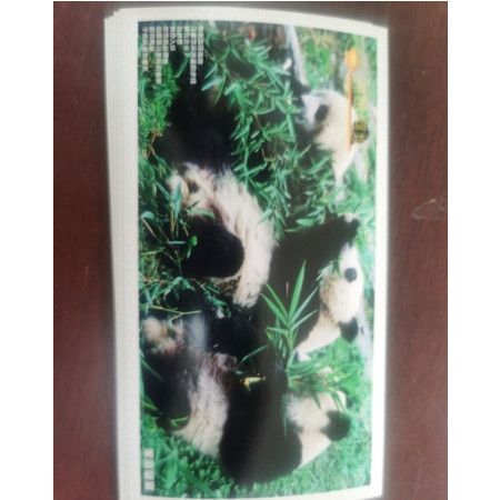 阿坝熊猫明信片5枚图片
