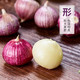 藏邮鲜 云南紫皮独头珍珠蒜 约2.5cm辛辣味足