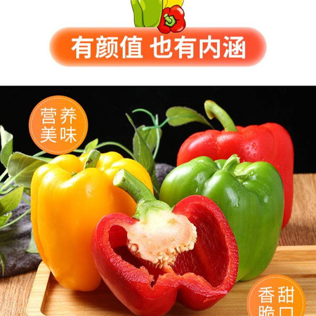 农家自产 新鲜山东彩椒 甜柿椒灯笼椒 水果沙拉椒 品正型 好个大图片