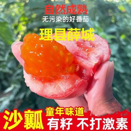 农家自产  【阿坝邮政】理县薛城阳光番茄（西红柿）约5斤