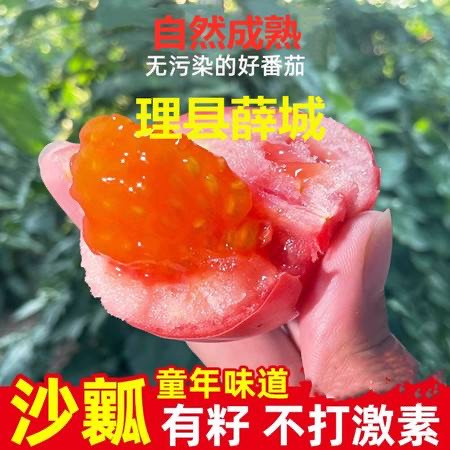 农家自产  【阿坝邮政】理县薛城阳光番茄（西红柿）约5斤图片