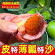 农家自产  【阿坝邮政】理县薛城阳光番茄（西红柿）约5斤