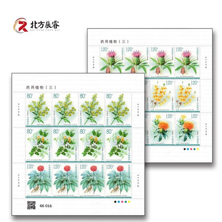 藏邮鲜 2023-20 药用植物(三) 特种邮票大版张版式一完整版