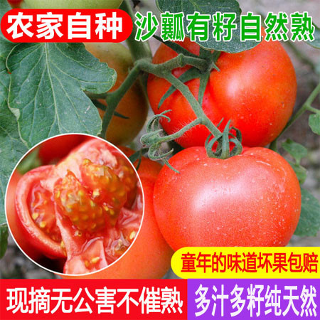 【邮乐 酒泉馆】水果大西红柿  番茄 6斤 包邮 下单立即发货
