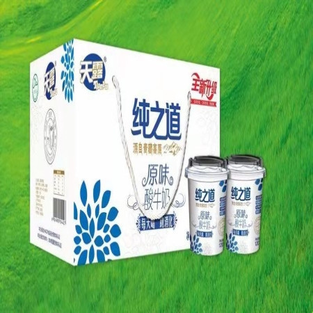 新款青海特产高原绿色天露纯之道酸奶原味酸牛奶120g*12杯 青海省内包邮图片