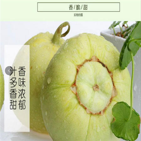 【邮乐 庆阳馆】庆阳合水特产甜瓜5斤/6个图片