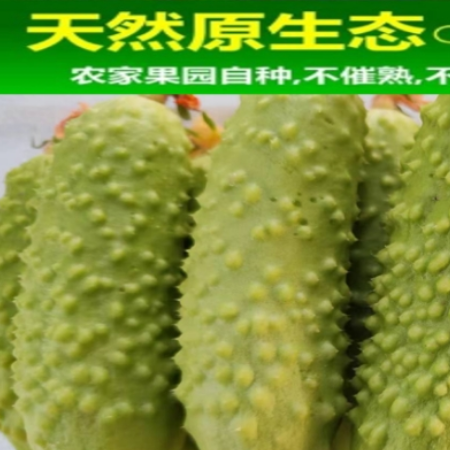 陇佳味 【板桥白黄瓜】