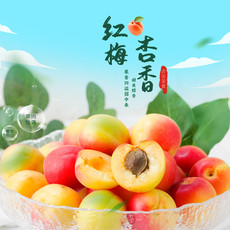 农家自产 【全国包邮】 精品红梅杏约5斤/箱 应季水果 酸甜可口