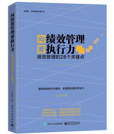 三新文化 向绩效管理要执行力:绩效管理的28个关键点图片