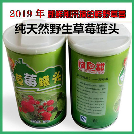 【邮乐 定西馆】 新品上市 岷县草莓罐头6瓶装包邮图片