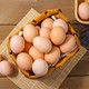 农家自产 平凉草峰蒙岩牧业散养乌鸡蛋/土鸡蛋