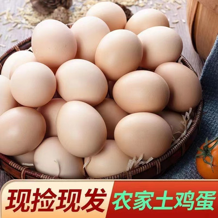 农家自产 平凉草峰蒙岩牧业散养乌鸡蛋/土鸡蛋图片