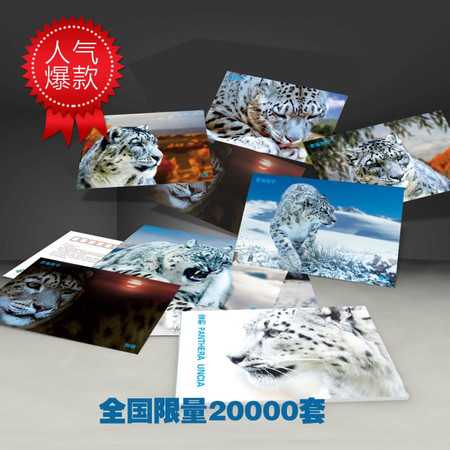【青海 西宁馆】《雪豹》珍藏明信片（8枚）（全国包邮）图片