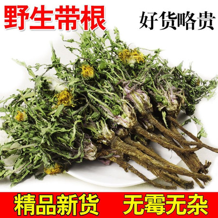 芮蒲 正宗野生整株带根蒲公英250g【晋乡情.运城】花草茶泡水