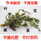 芮蒲 正宗野生整株带根蒲公英250g【晋乡情.运城】花草茶泡水