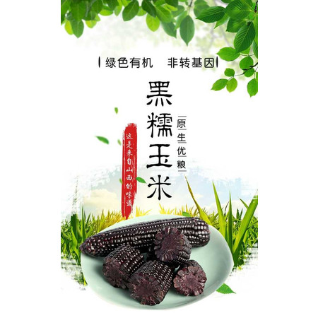 【五台山馆 · 五寨】璟玉 三色甜糯玉米 220g*9 包邮