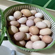 中国邮政 富硒天然土鸡蛋2斤