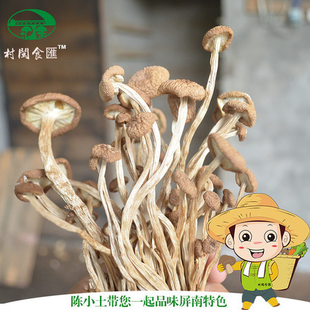 【联通】15元_邮乐大礼包 茶树菇图片