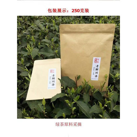 老树茶 四川雅安蒙顶毛峰 2019绿茶 蒙顶山茶250克 39.9元图片