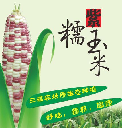 【三雄出品】甜糯玉米新鲜出炉[6斤装]省内包邮图片