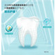 【包邮】纳爱斯营养维他命C鲜橙薄荷牙膏165克*3支
