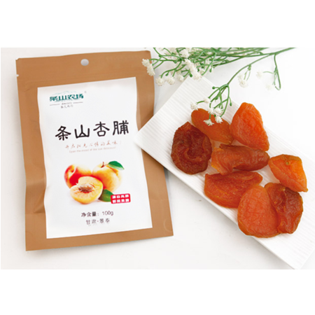 【白银景泰】 白银特产 景泰杏脯100g