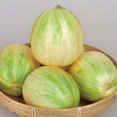 农家自产 巴盟香瓜