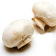 【积石山 邮乐馆】新鲜采摘双孢菇 个大肉厚 3种规格可选  EMS包邮