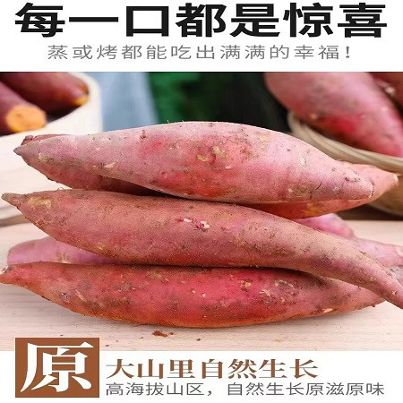 农家自产 【消费帮扶】西瓜红蜜薯