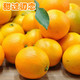  麻阳冰糖橙现摘现发橙子5斤新鲜水果包邮批发当季采摘手剥橙