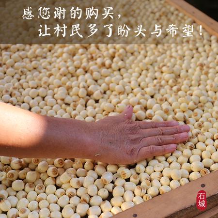 【赣州邮政自营 250袋装干莲】江西石城手工通心贡莲子250g装 子石城贡莲滋补佳品 250g袋装