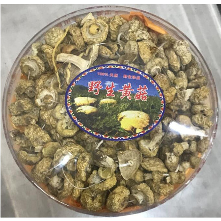 【青海  玉树】玉树野生黄菇 250g 1件